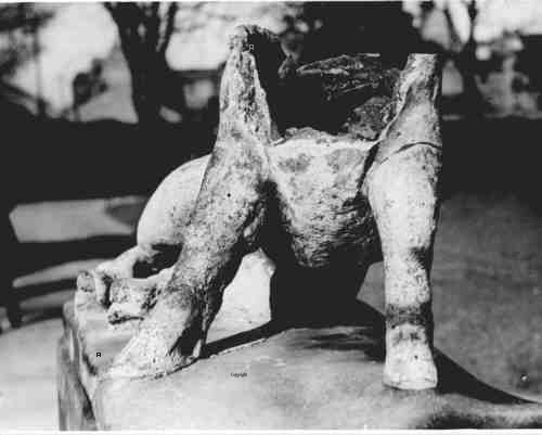 The Headless Boar. Photo taken shortly after it was damaged.